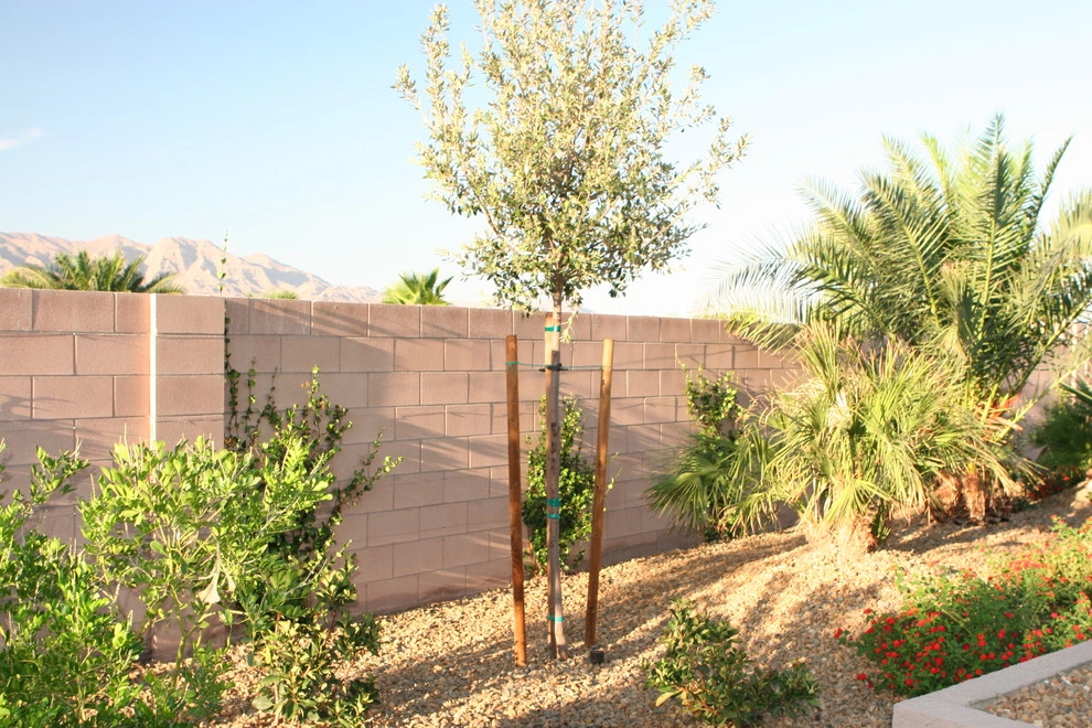 Deborah & Roger W by Green Planet Landscaping Pools & Spa - Photo 33