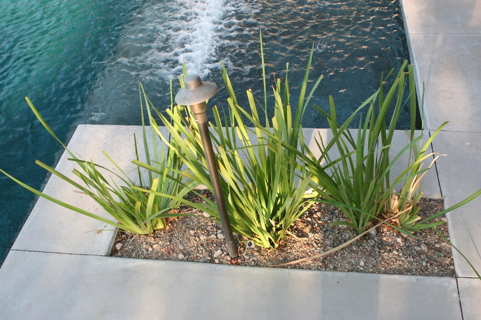Ragini F by Green Planet Landscaping Pools & Spa - Photo 4