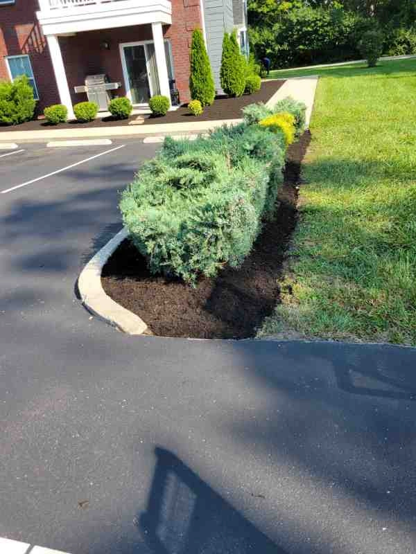 Alberto Alavez Professional Lawn Services LLC 3 by Alberto Alavez Professional Lawn Services LLC - Photo 90