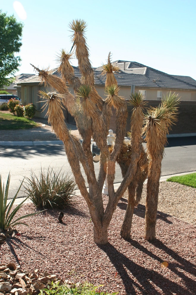 Kitchen Crashers by Green Planet Landscaping Pools & Spa - Photo 24
