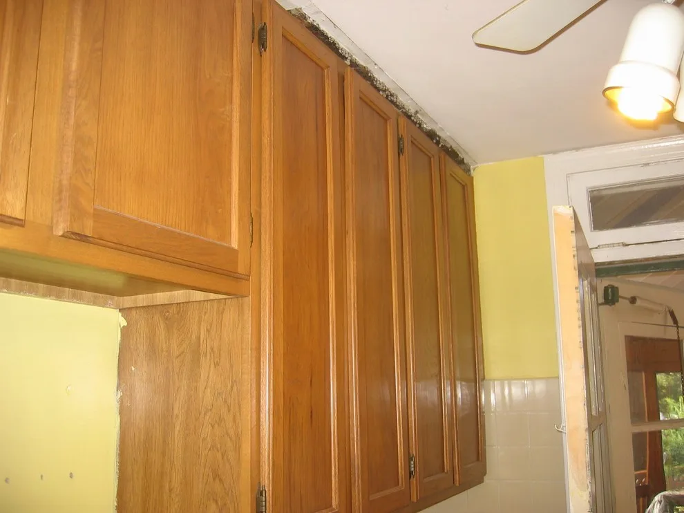 1940s Del Ray Townhouse Kitchen by Beverly Thomas LLC - Photo 6