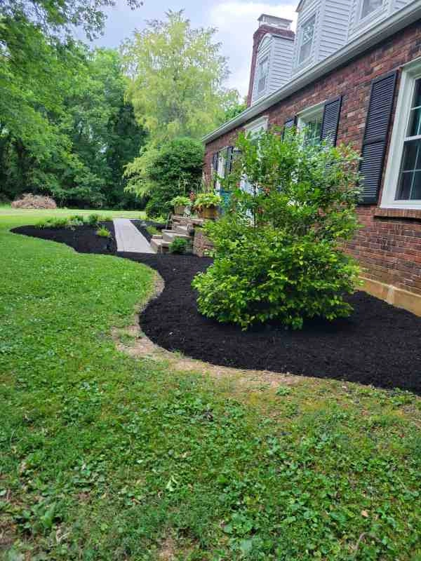 Alberto Alavez Professional Lawn Services LLC 3 by Alberto Alavez Professional Lawn Services LLC - Photo 54