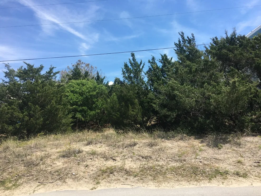 Alternative Yaupon Drive by Crystal Coast Construction Unlimited LLC - Photo 2