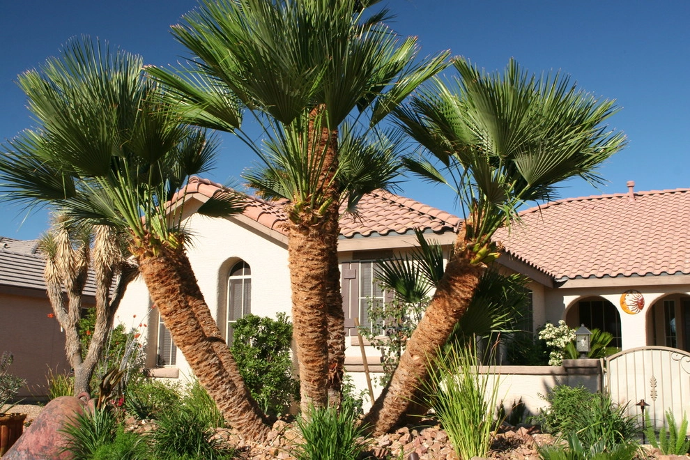 Egon A by Green Planet Landscaping Pools & Spa - Photo 7