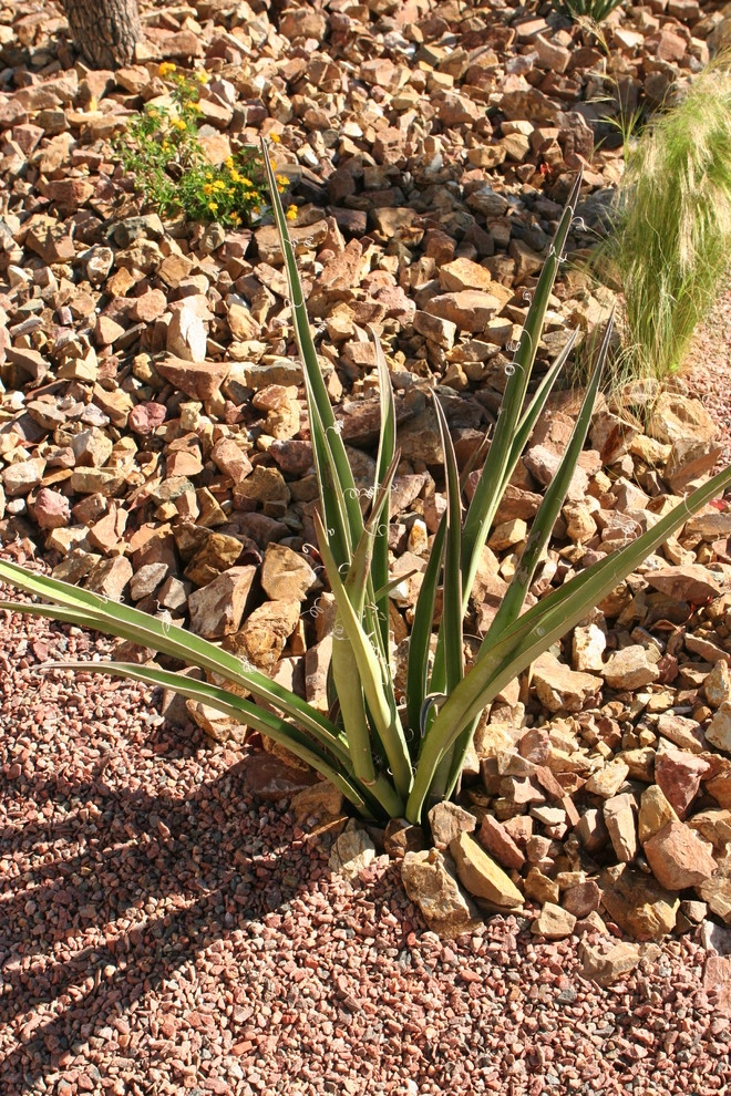 Egon A by Green Planet Landscaping Pools & Spa - Photo 10