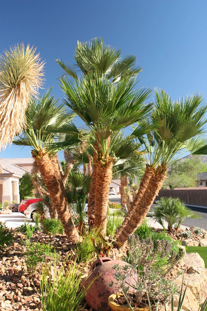 Egon A by Green Planet Landscaping Pools & Spa - Photo 4