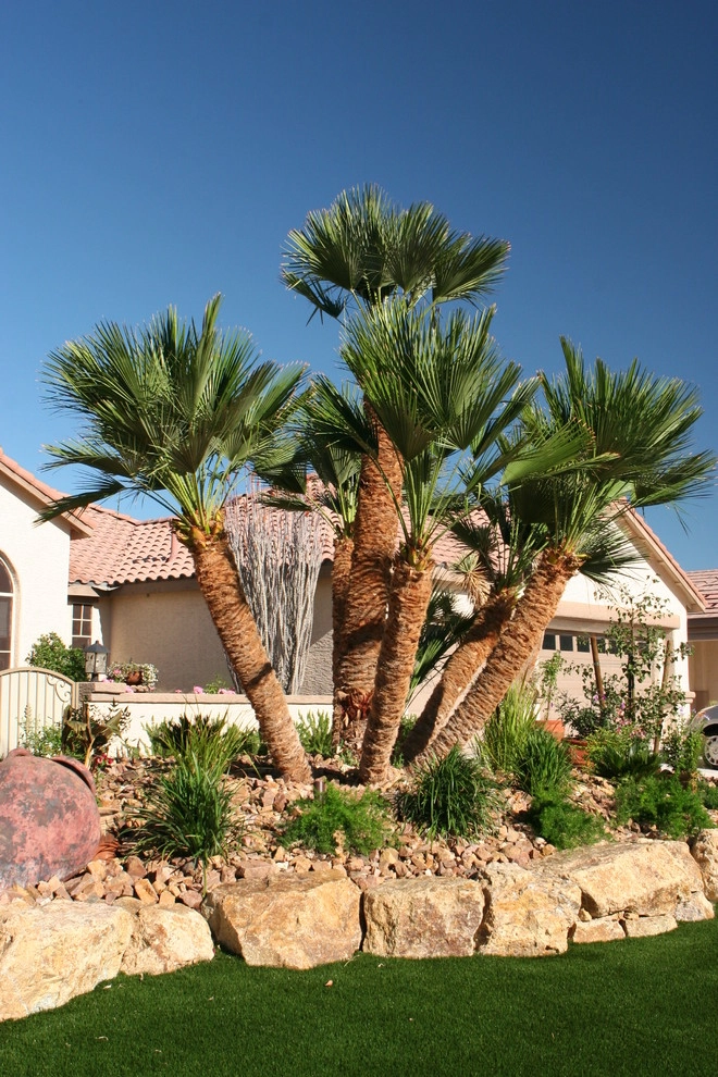 Egon A by Green Planet Landscaping Pools & Spa - Photo 6