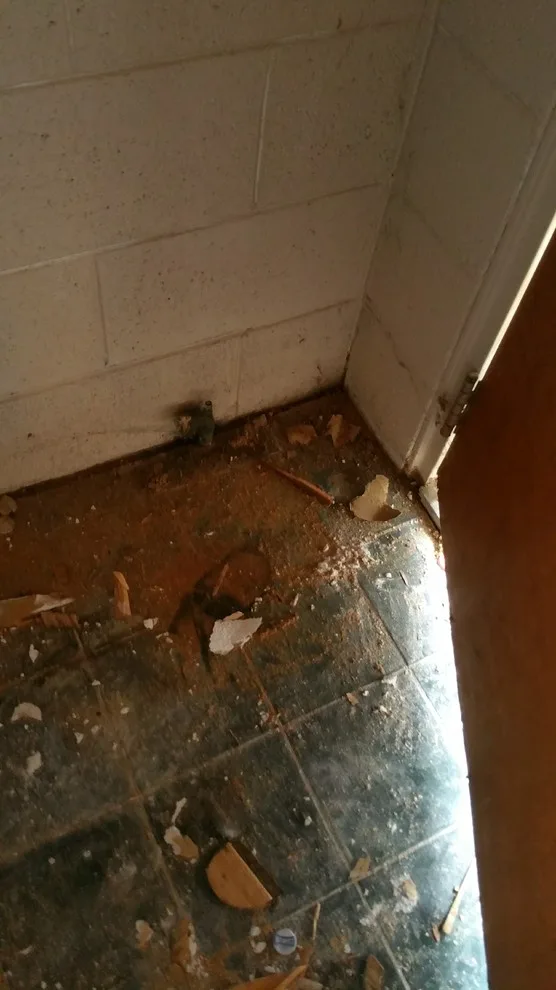 Apex Basement Renovation - Completion by Raleigh Home Remodeling - Photo 9