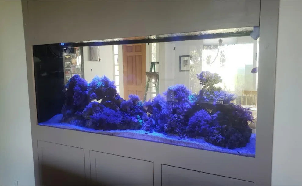 Fish Tank by Rockin' Remodeling LLC - Photo 4