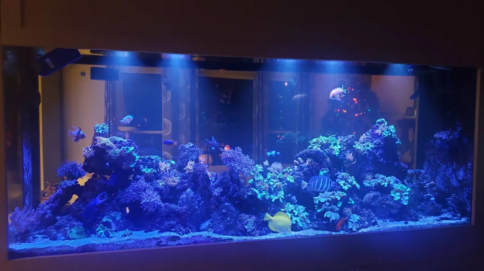 Fish Tank by Rockin' Remodeling LLC - Photo 2