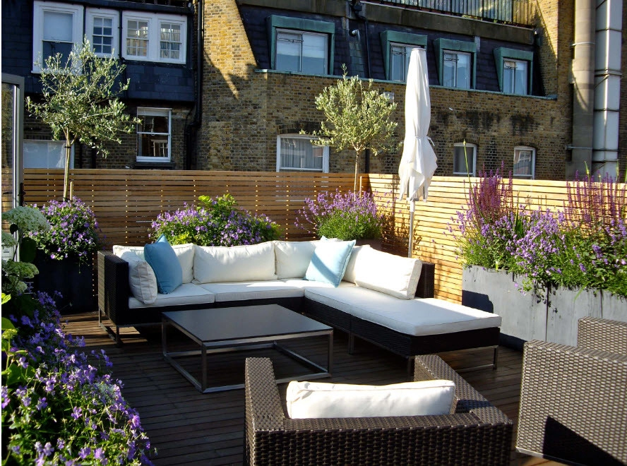 Roof, Terraces Landscaping by GreenCascade - Photo 3