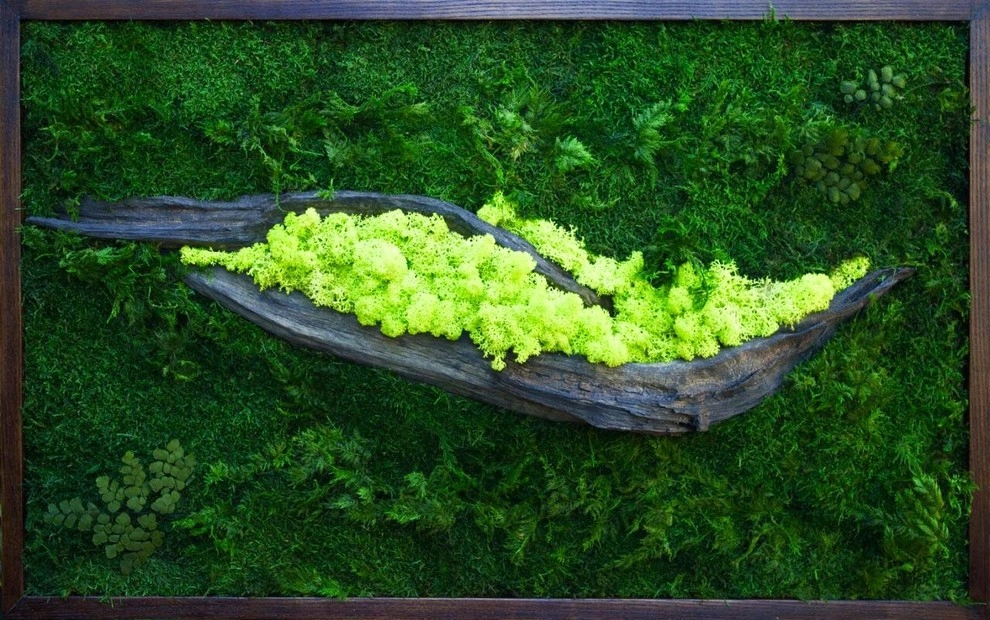 Phytodesign by GreenCascade - Photo 2