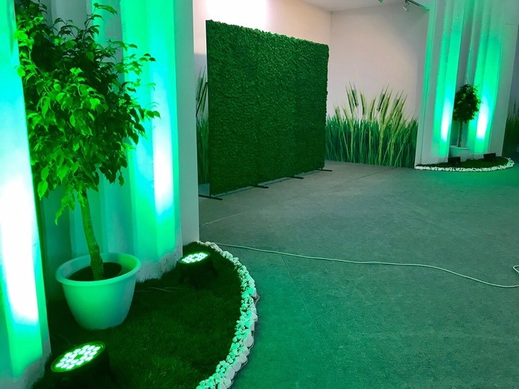 Living Walls and Vertical Gardens by GreenCascade - Photo 5