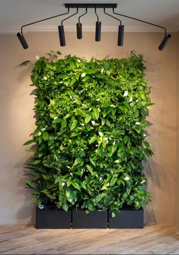 Living Walls and Vertical Gardens by GreenCascade - Photo 6