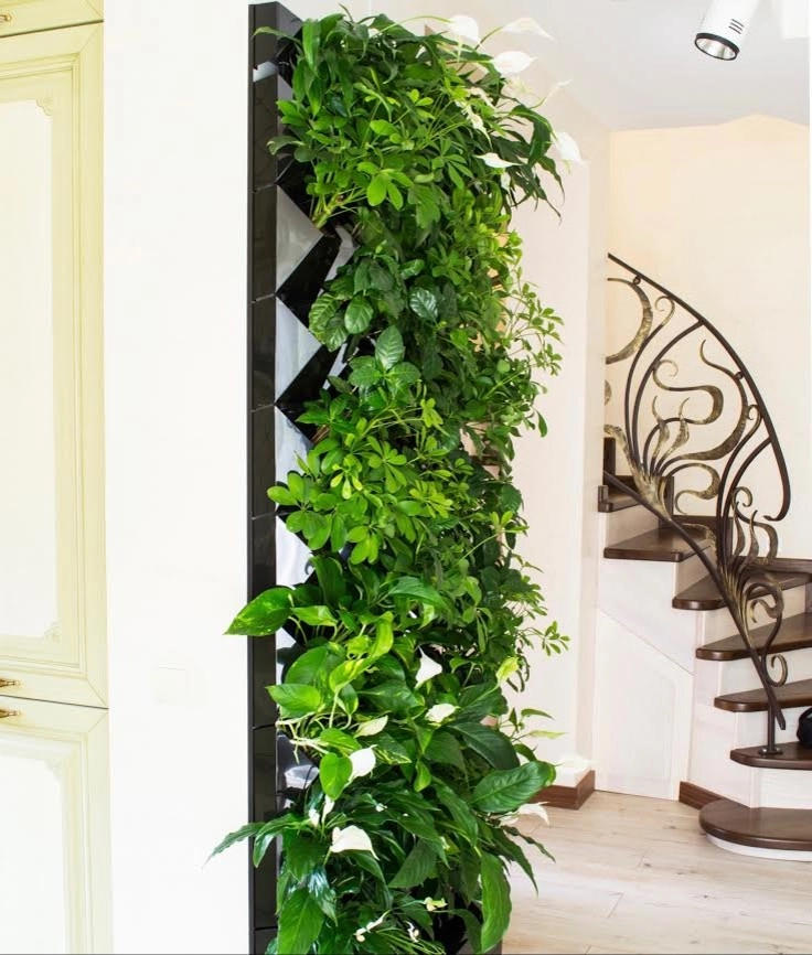 Living Walls and Vertical Gardens by GreenCascade - Photo 9
