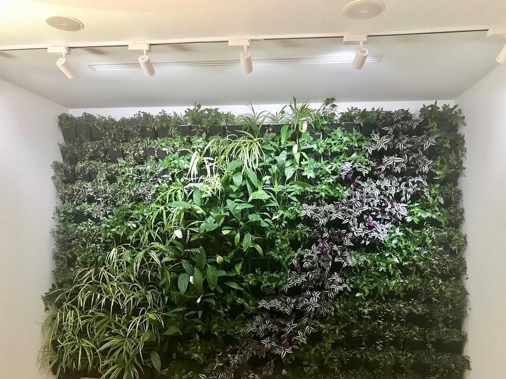 Living wall by GreenCascade - Photo 2
