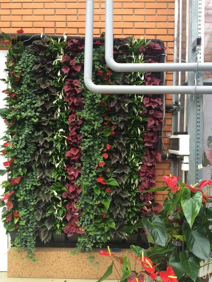 Living Walls and Vertical Gardens by GreenCascade - Photo 4