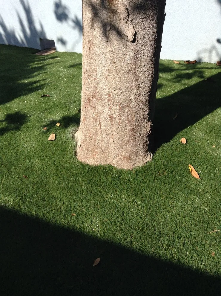 Synthetic Turf Solution by Precision Home Design & Remodeling - Photo 2