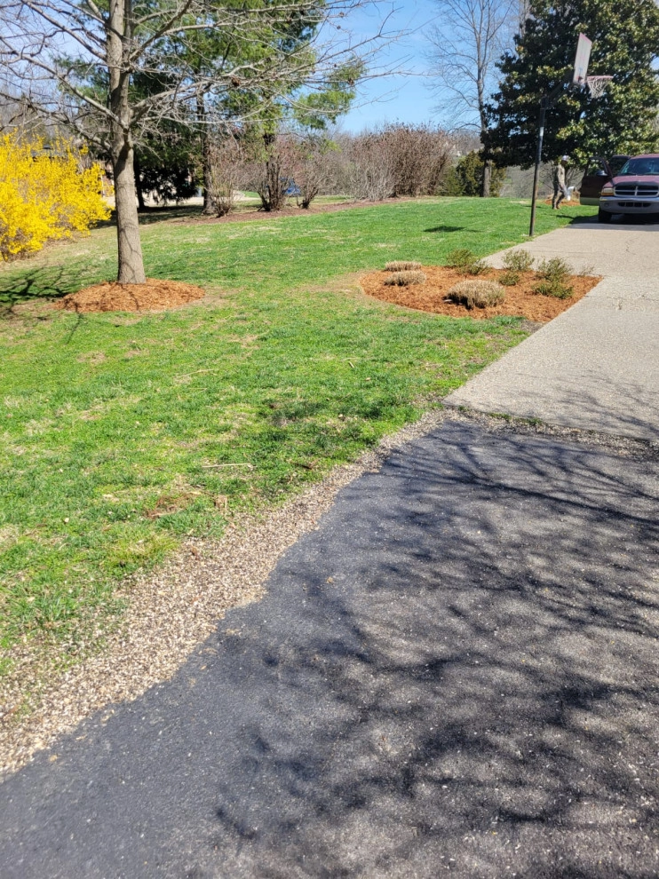 Alberto Alavez Professional Lawn Services LLC 10 by Alberto Alavez Professional Lawn Services LLC - Photo 14