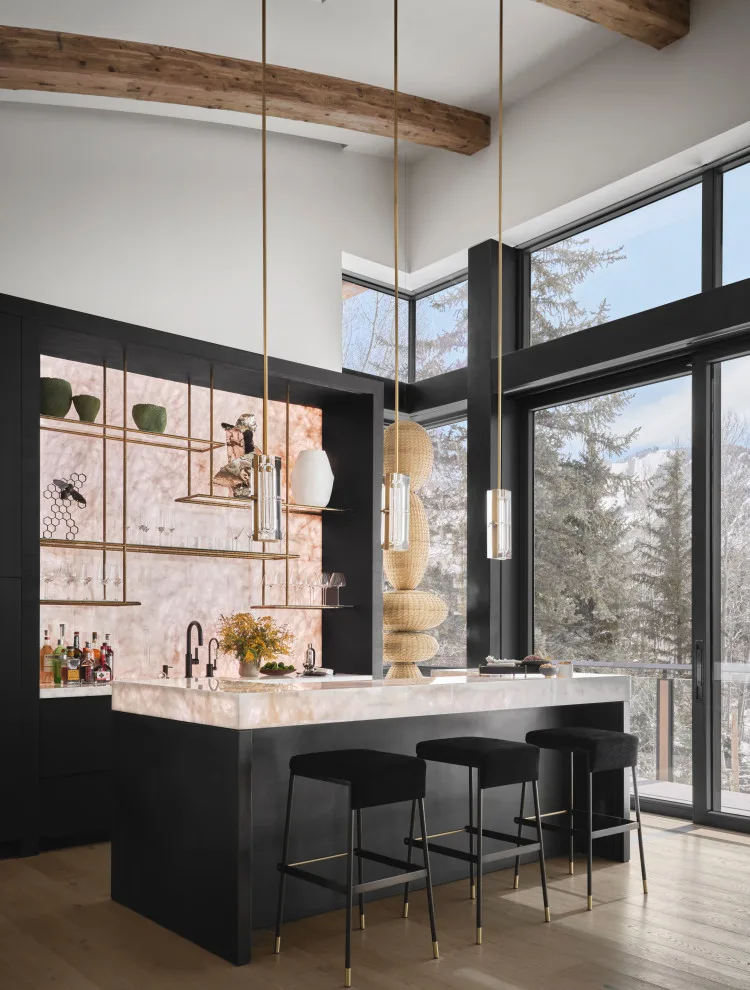 Aspen Contemporary by Beck Building Company - Photo 8