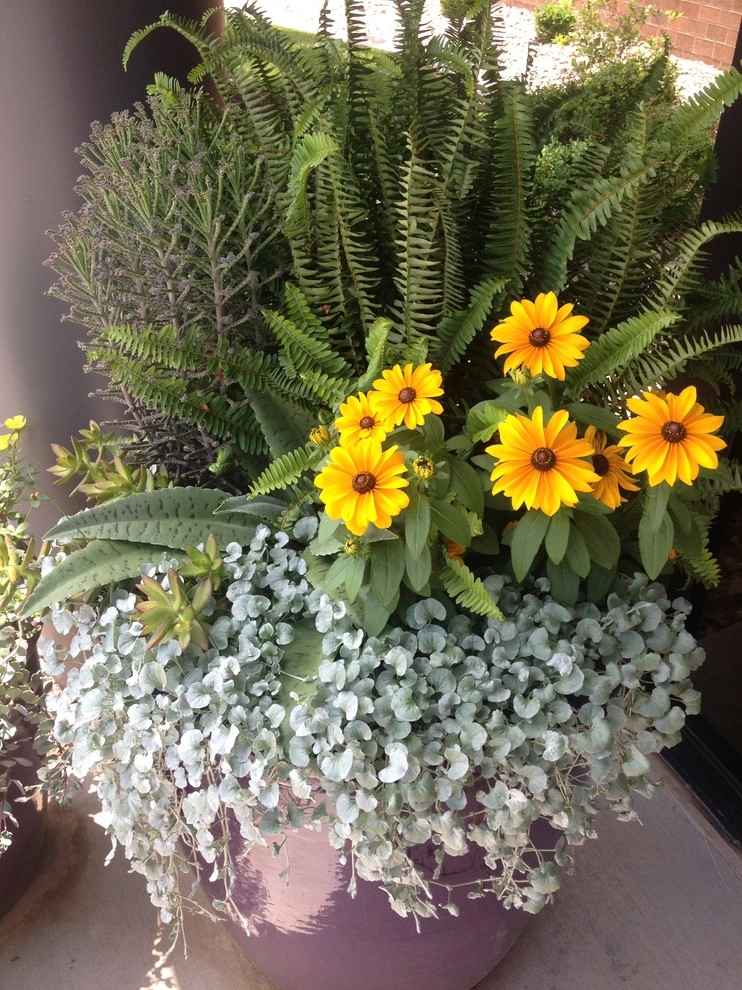 Summer Containers by Greenlife Gardens - Photo 9