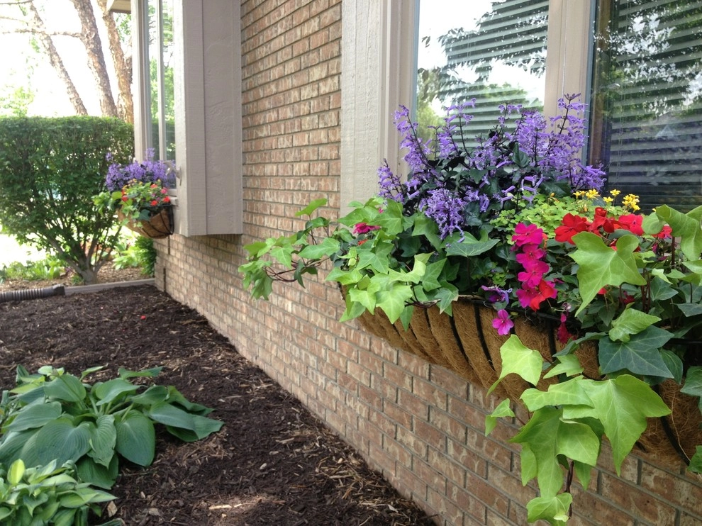 Summer Containers by Greenlife Gardens - Photo 11