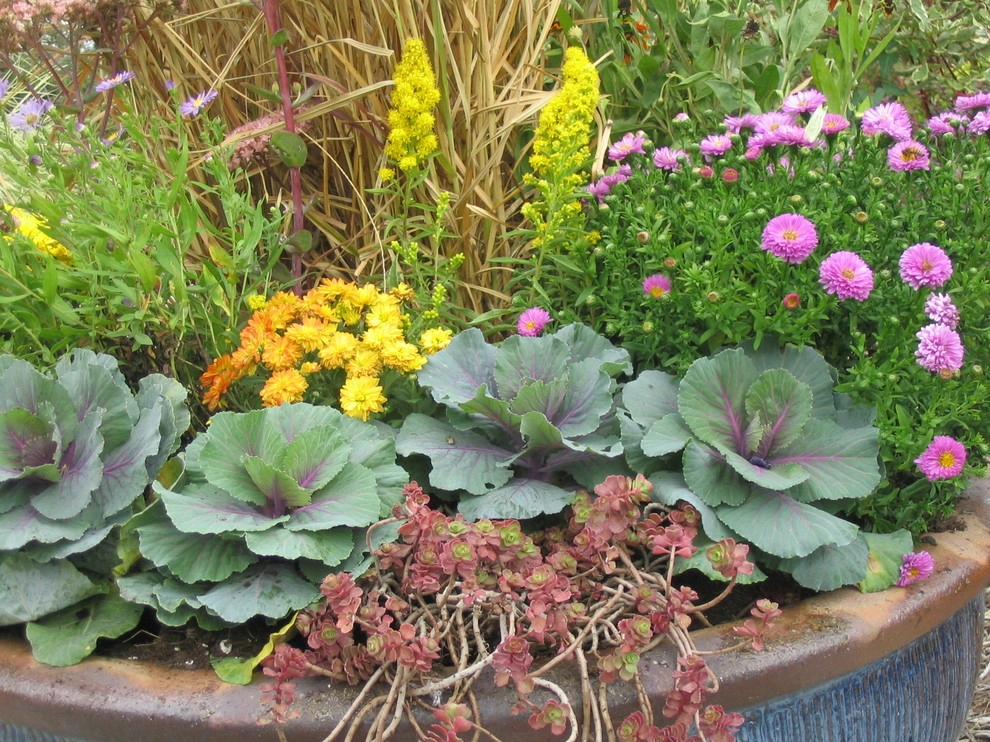 Fall Containers by Greenlife Gardens - Photo 10