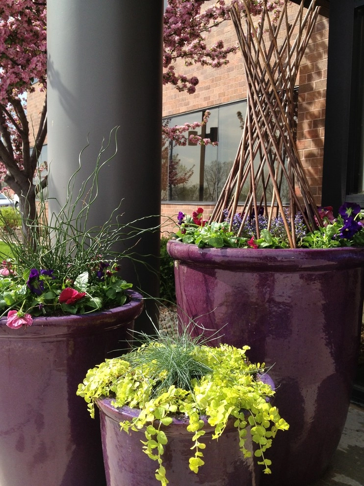 Cold Hardy Spring Containers by Greenlife Gardens - Photo 6