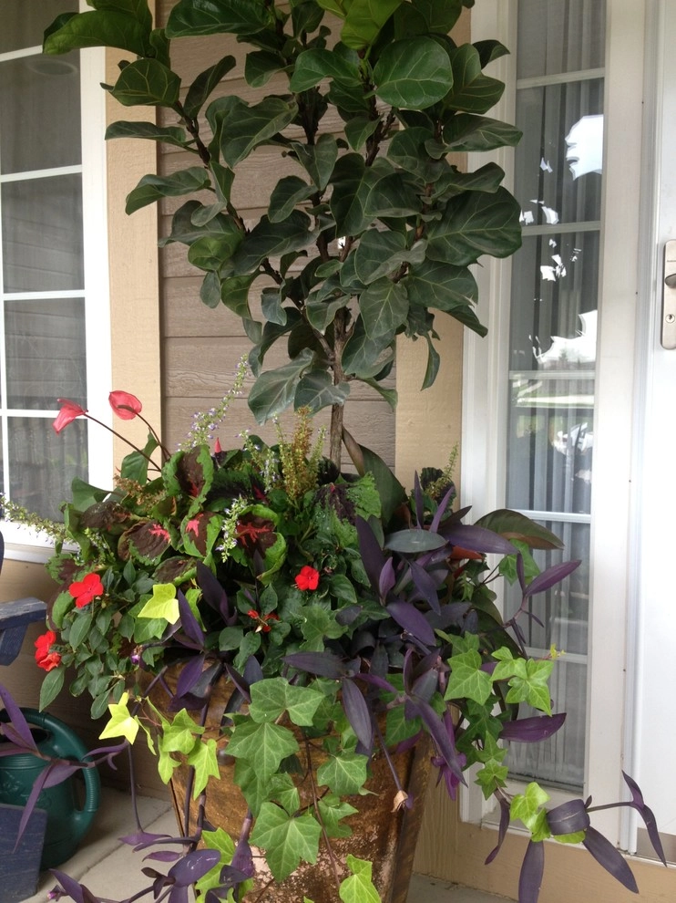 Summer Containers by Greenlife Gardens - Photo 2