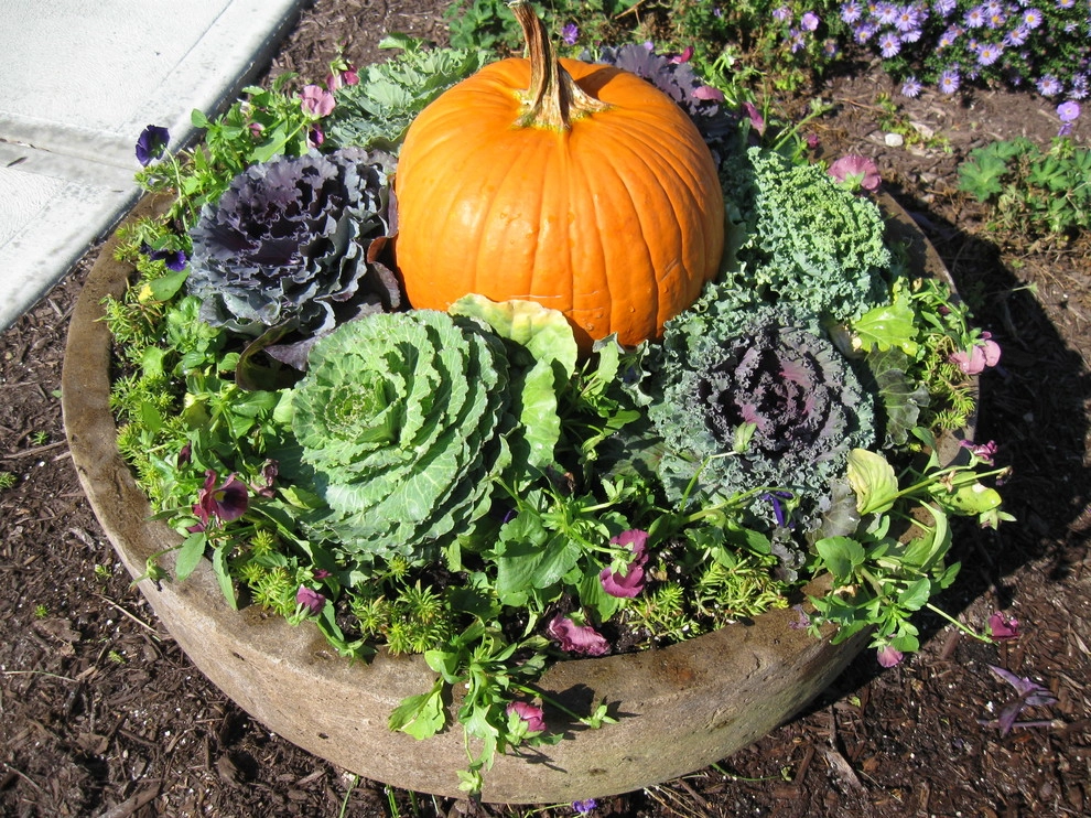 Fall Containers by Greenlife Gardens - Photo 12