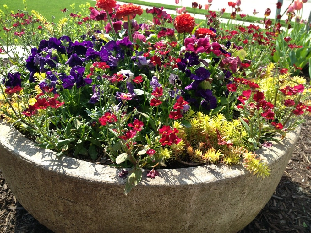 Cold Hardy Spring Containers by Greenlife Gardens - Photo 4