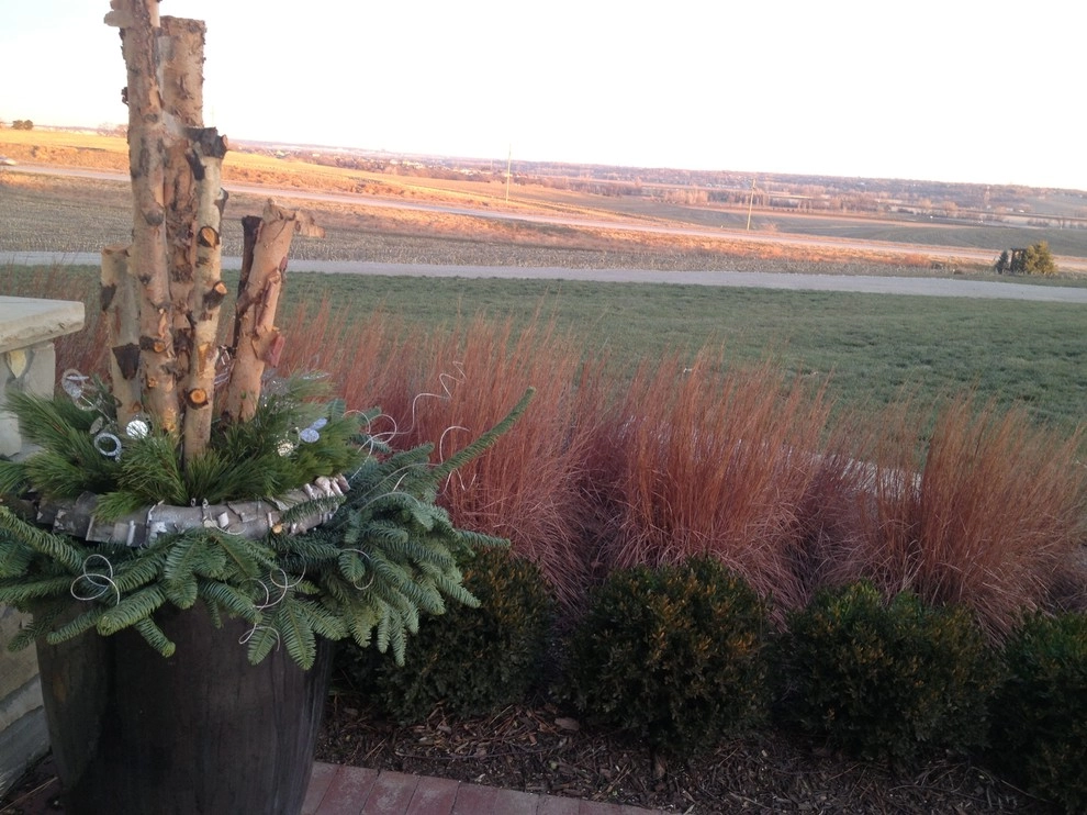 Winter Containers by Greenlife Gardens - Photo 4