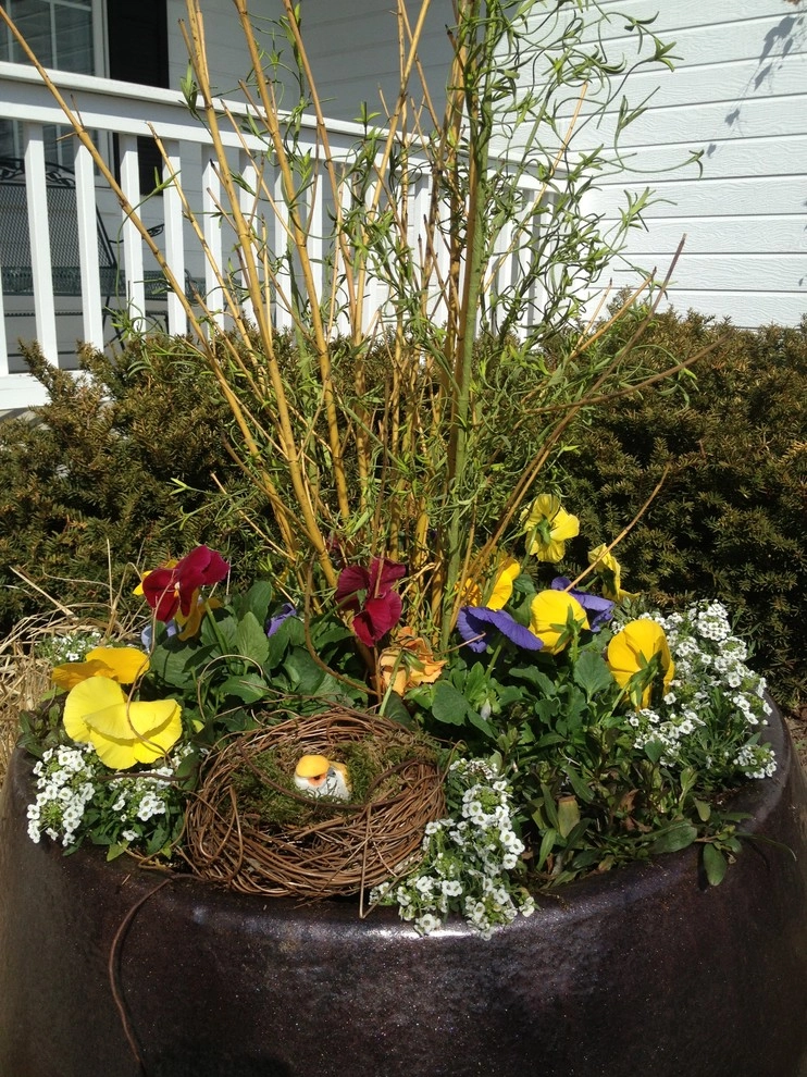 Cold Hardy Spring Containers by Greenlife Gardens - Photo 5