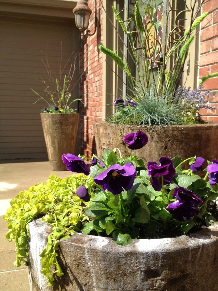Cold Hardy Spring Containers by Greenlife Gardens - Photo 2