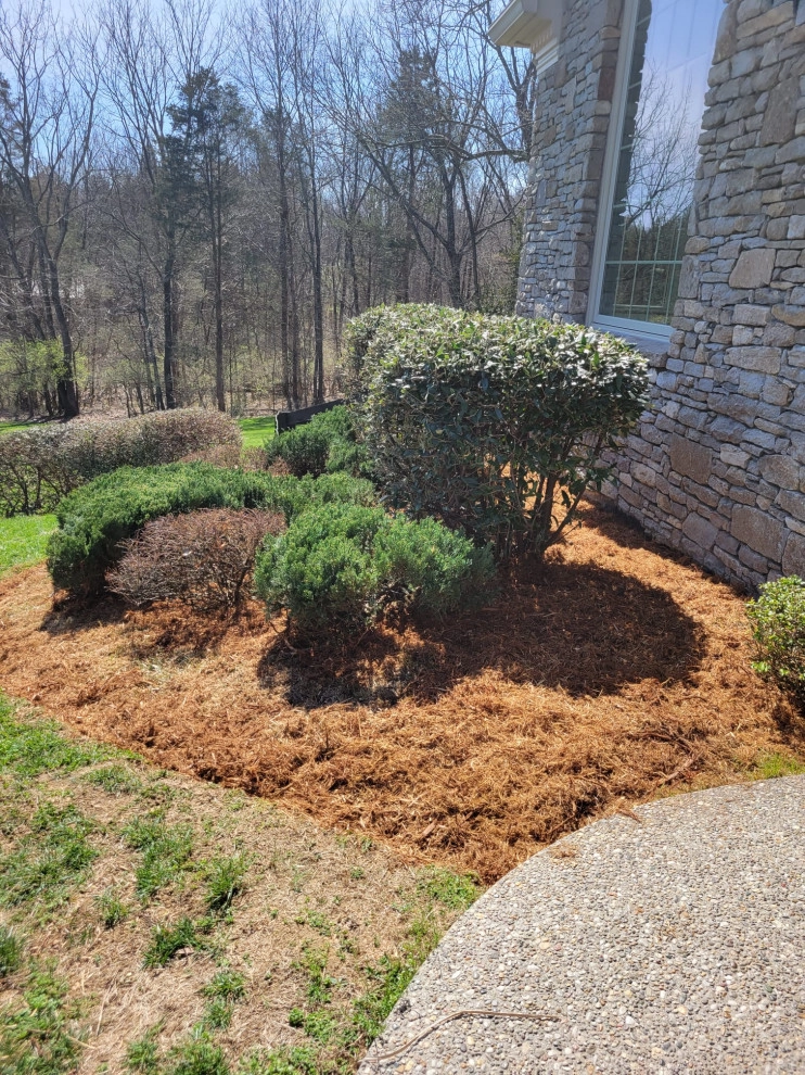 Alberto Alavez Professional Lawn Services LLC 10 by Alberto Alavez Professional Lawn Services LLC - Photo 24