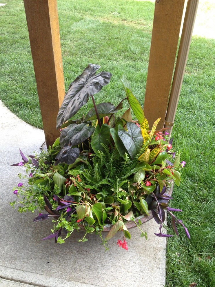 Summer Containers by Greenlife Gardens - Photo 13