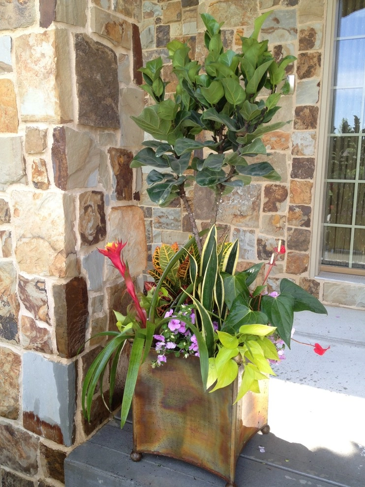 Summer Containers by Greenlife Gardens - Photo 10