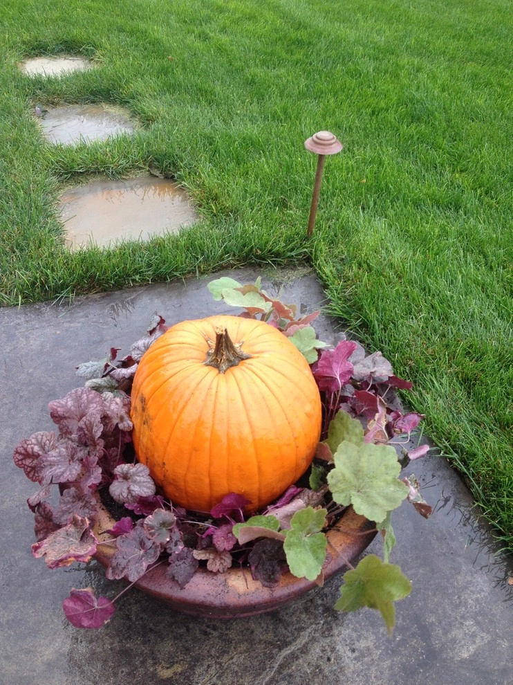 Fall Containers by Greenlife Gardens - Photo 7