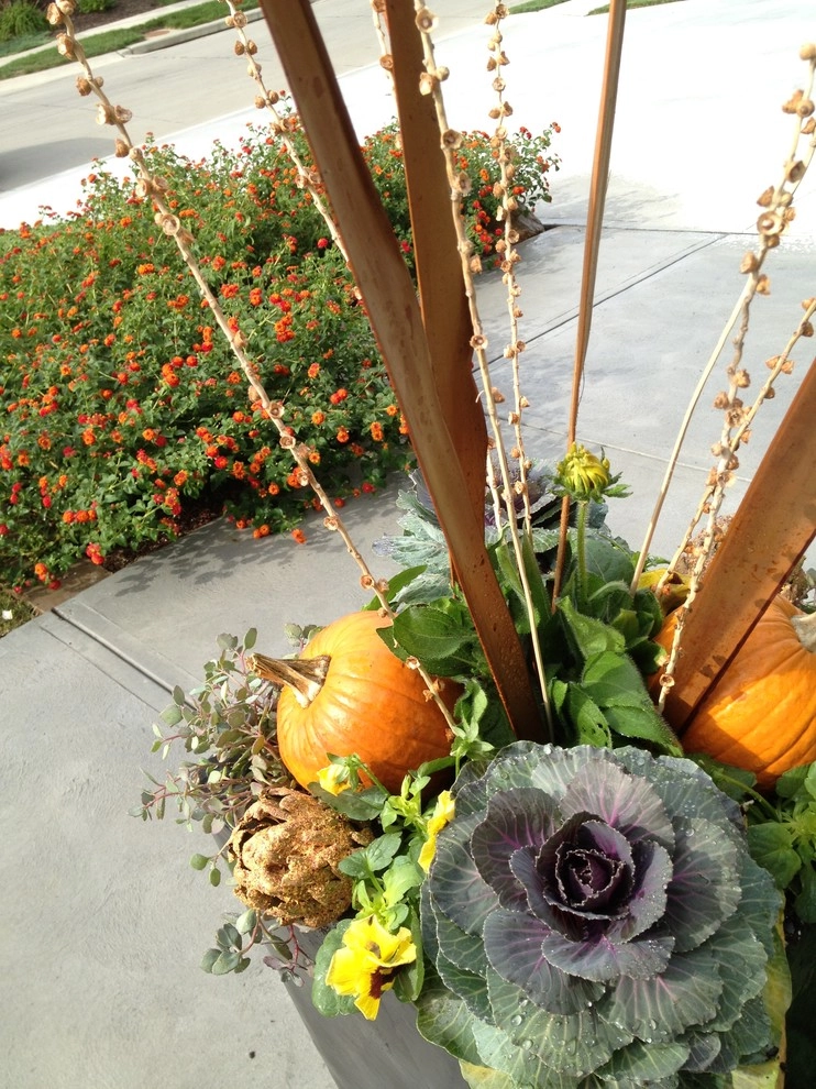 Fall Containers by Greenlife Gardens - Photo 9