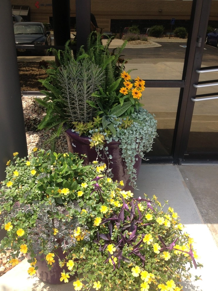 Summer Containers by Greenlife Gardens - Photo 7
