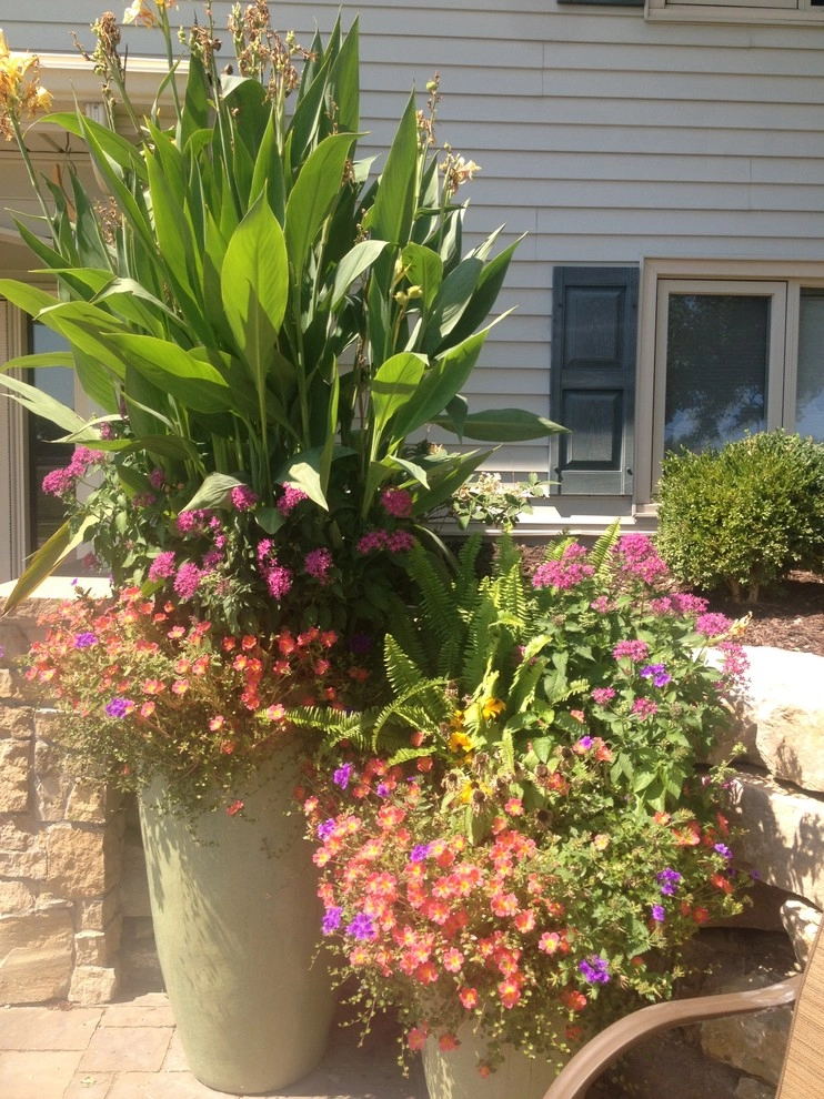 Summer Containers by Greenlife Gardens - Photo 8