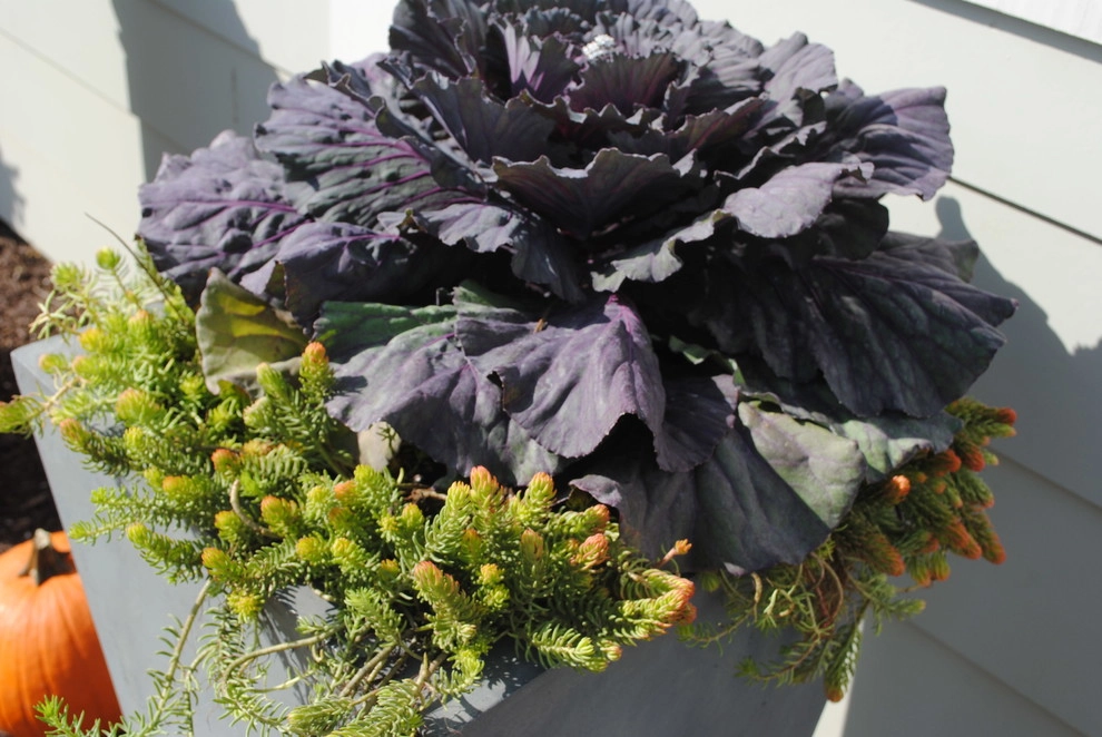 Greenlife Gardens - Photo 9