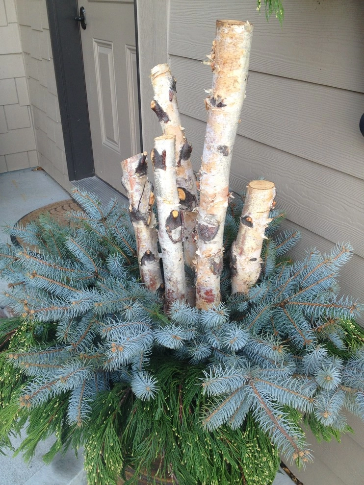 Winter Containers by Greenlife Gardens - Photo 8