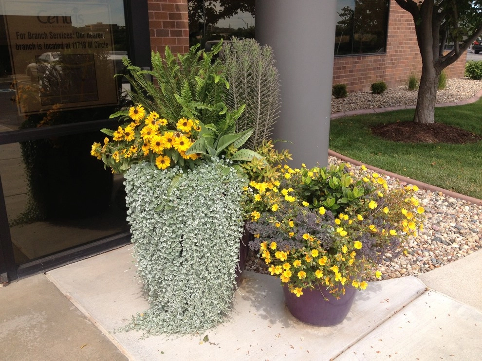 Summer Containers by Greenlife Gardens - Photo 6