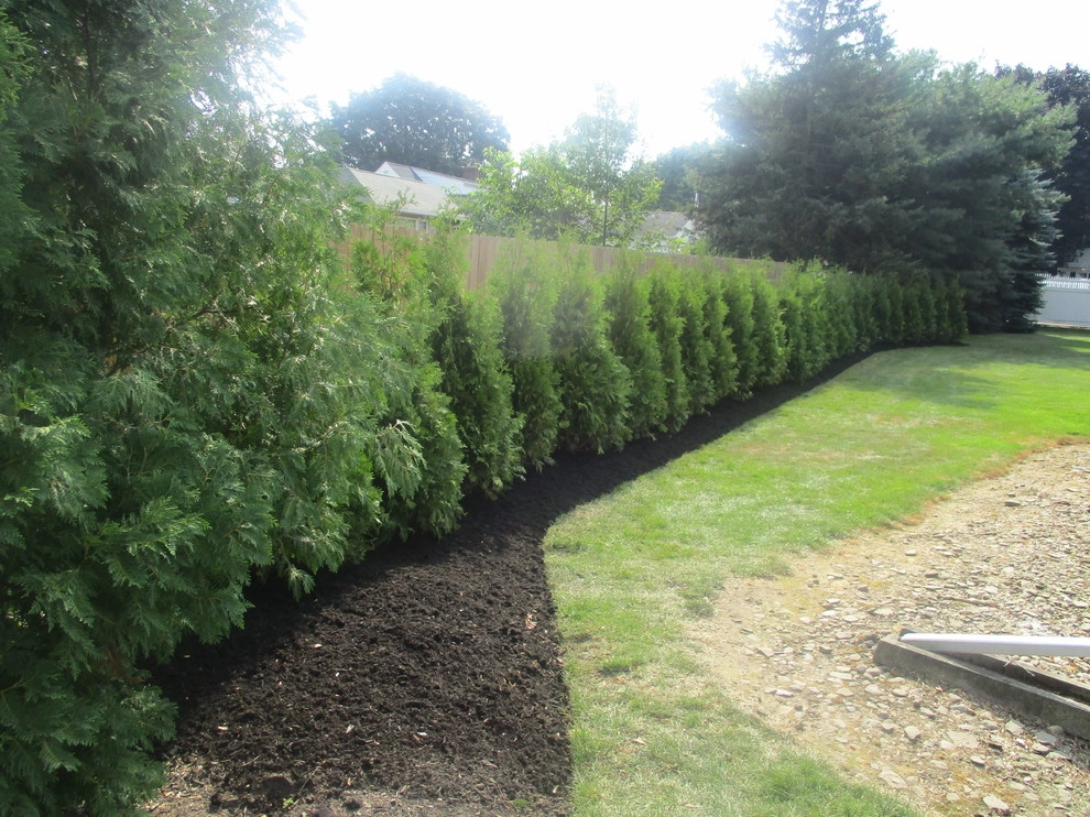 Arborvitae Hedge by Greenscape Lawn And Garden Service, In - Photo 2