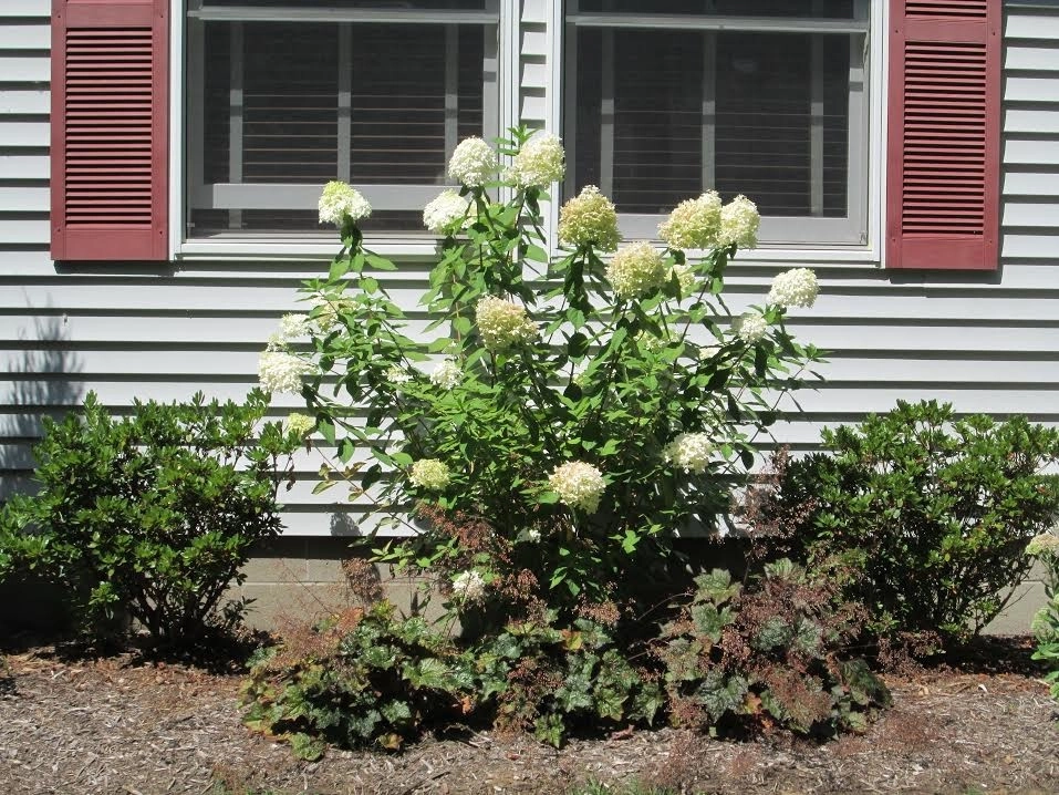 Sunny Gardens by Greenscape Lawn And Garden Service, In - Photo 21