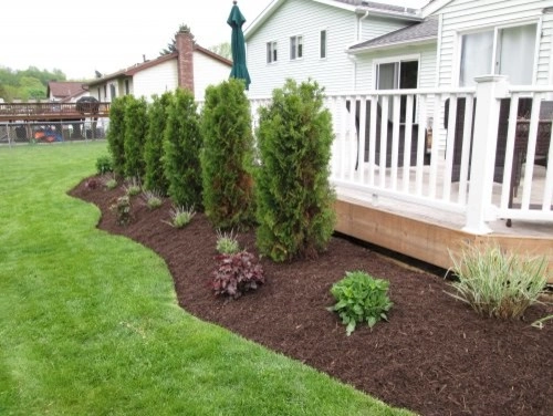 Sunny Gardens by Greenscape Lawn And Garden Service, In - Photo 17
