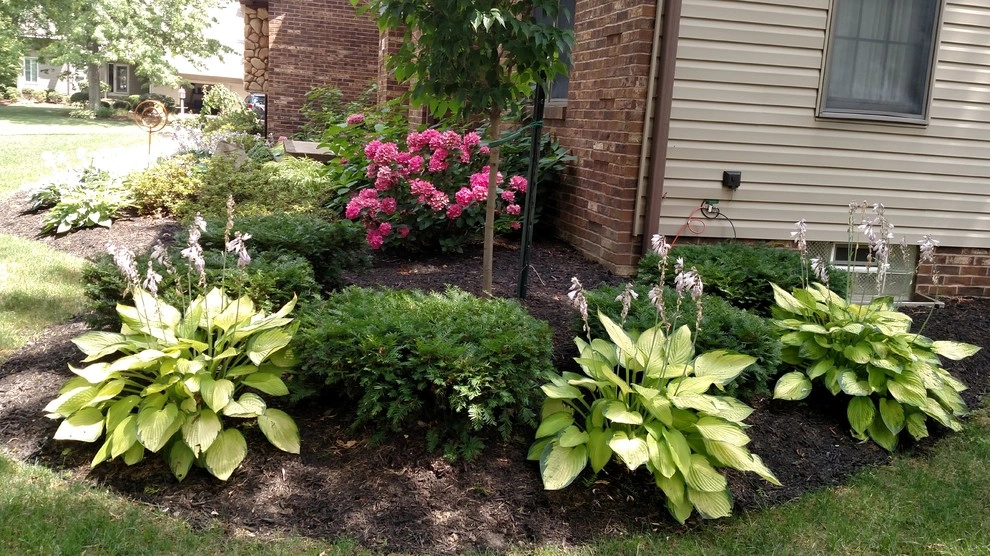 Landscape Complete Renovation by Greenscape Lawn And Garden Service, In - Photo 5
