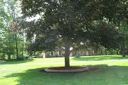 Sunny Gardens by Greenscape Lawn And Garden Service, In - Photo 2