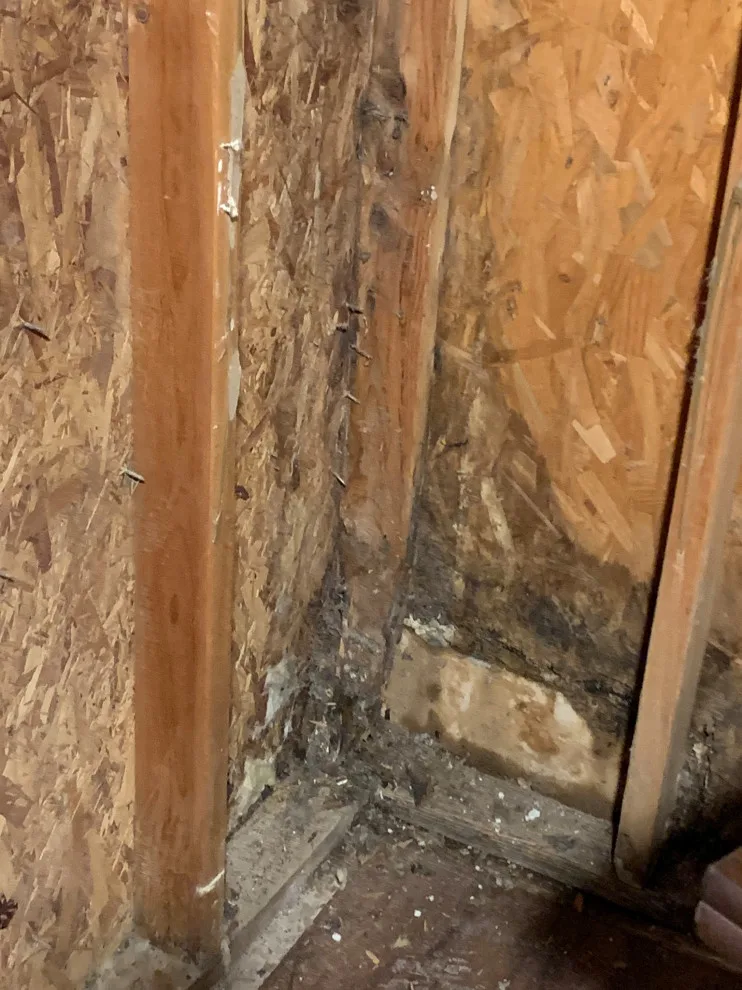 Alderman Mold Removal and Upper Deck Reconstruction by Bs&eng CO - Photo 14